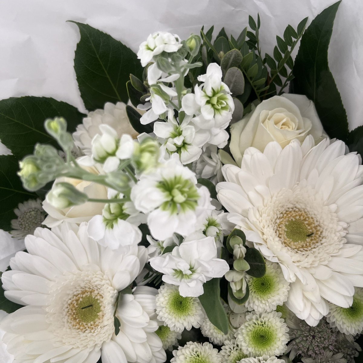 FloriFlowersNPEF